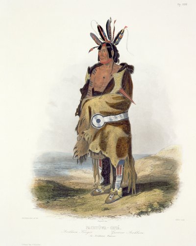 पख्तुवा-च्टा, एक अरिककारा योद्धा, टैलबोट, 1843 (एक्वाटिंट) द्वारा उत्कीर्ण &39;ट्रैवल्स ऑफ नॉर्थ अमेरिका&39; के वॉल्यूम 1 से प्लेट 27 द्वारा कार्ल बॉडर